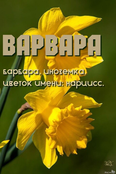 c2bb3796e0a23b2aa4f4265fd193805b.jpg
