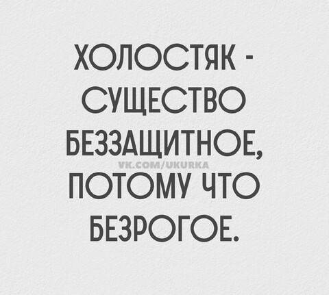 2c468fe5-35e1-4ad4-bbf3-87cc1d29208f.jpg