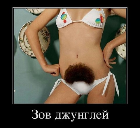 Дм.jpg