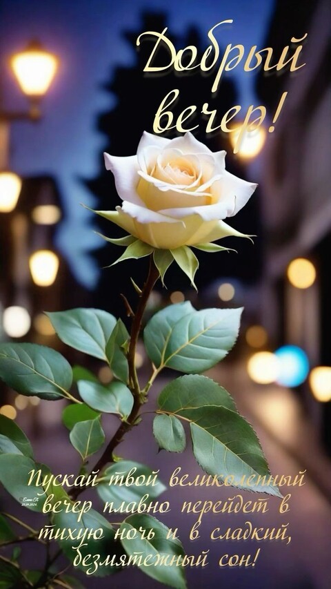 53a71afa513366b28c3d42588bb4e271.jpg