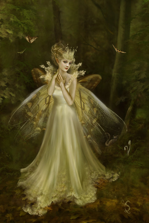 forest of the fairy.jpg