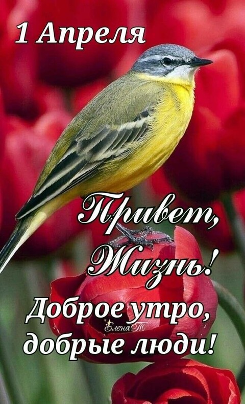 1 Апреля.jpg