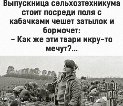 b541a8b1af551cdb7d243a7b87c142aecbe87edd99f58a999fe456745592d15e 1 jpg 1.jpg