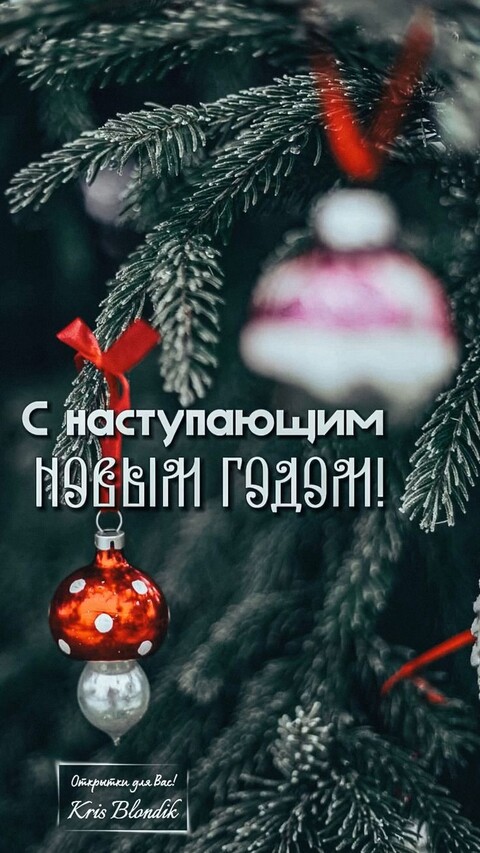 1ecfadda7e6acd139931e79236535ded.jpg