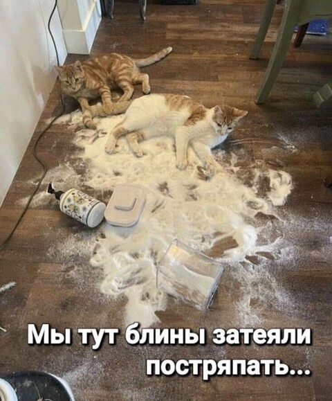 23c5b89b0cd99346faef90ede6325457.jpg