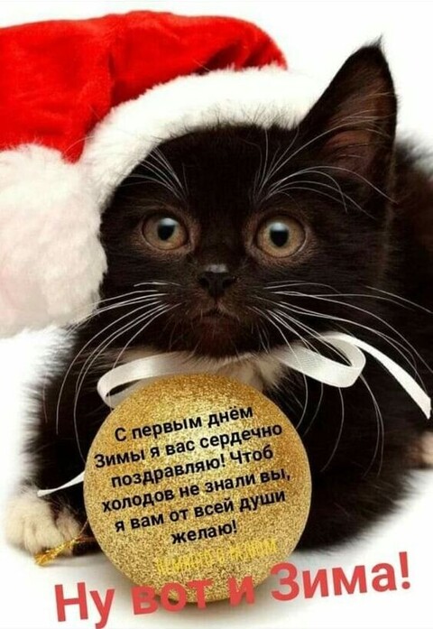 С Первым Днём Зимы Поздравляю !.jpg