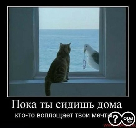 20180418 121556.jpg