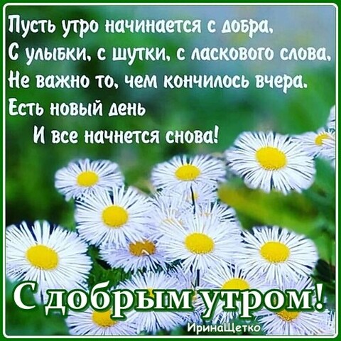 cd6a639f-fe59-467e-ba97-e3eacf4c9c36.jpg