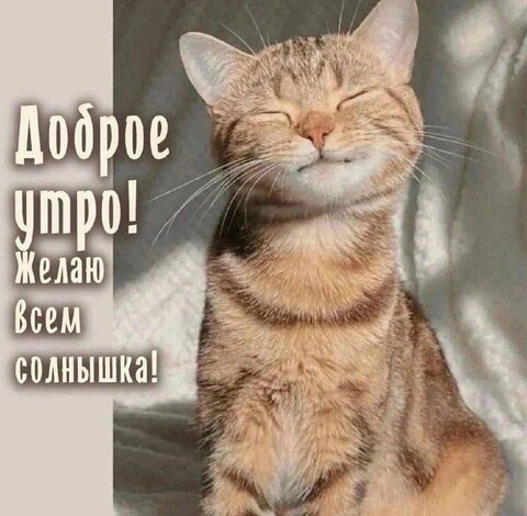 Доброе Утро.jpg