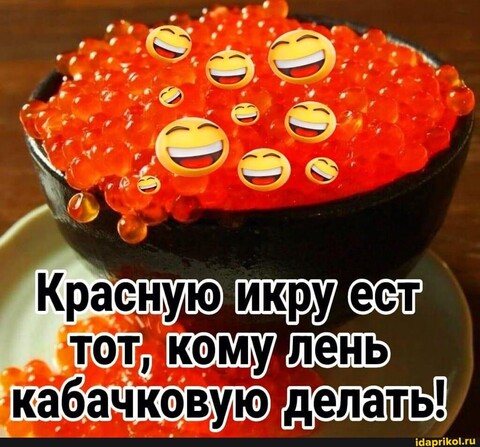IMG-20230812-WA0053.jpg