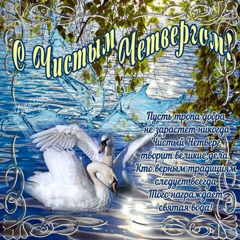 5c24180a-42ed-4988-91db-7f437150d0af.jpg