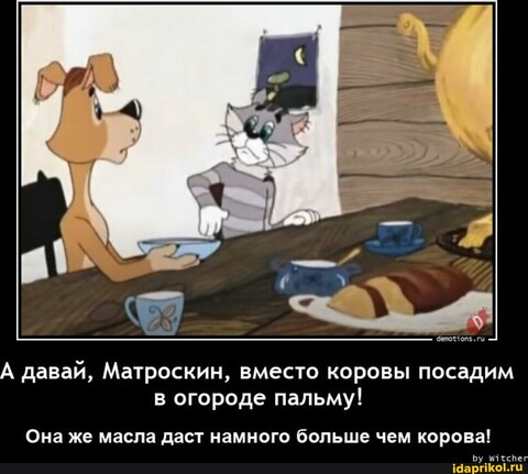 6F30F691-2B5B-44A4-A01D-448B8AE9B584.jpg