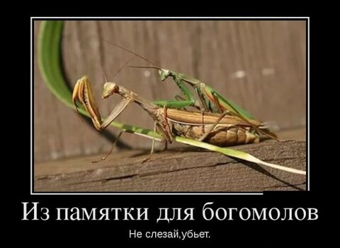 440dfcca-6273-4e5c-bca0-73cef563ad70.jpg