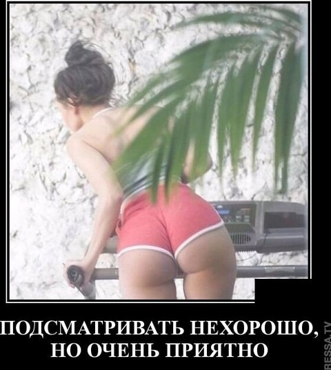 1b9400f8-e679-4875-8ce9-0f37d2385bef.jpg