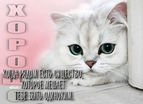 image (16).png