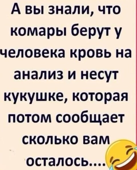 419d29fbfe65269a02f2fb7512307c6f5430d59a151bc7073304f60ca1634e47 1 jpg 1.jpg
