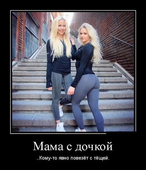 дм.jpg