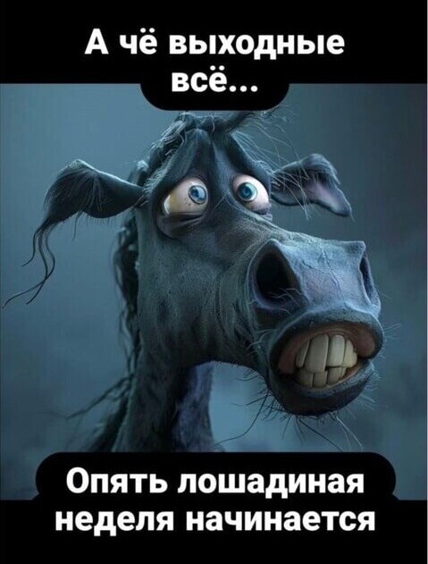 Всё Выходные.jpg