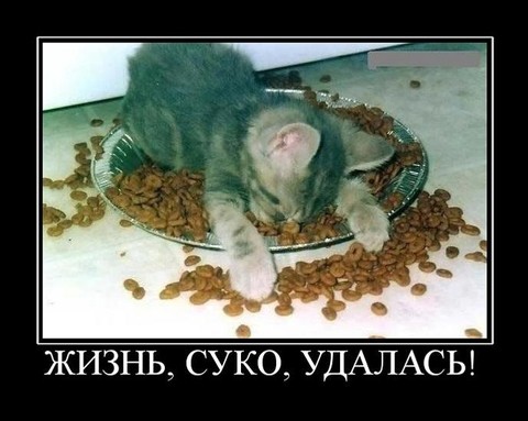 демо 22.jpg