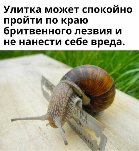 446c599c998b45758f2a6f2fbe9f6951.jpg