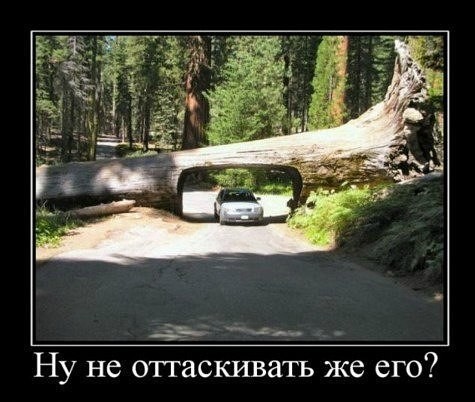 Дм (1).jpg