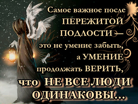 image (5).png