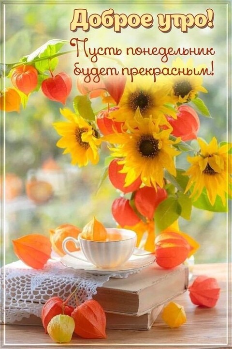 Доброе Утро - Понедельник.jpg