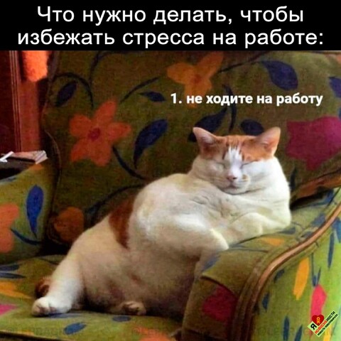 IMG 20240815 205344.jpg