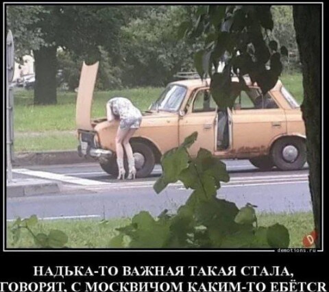 4b6e91b5-956f-4dc2-8f35-041ccdc4fc4f.jpg