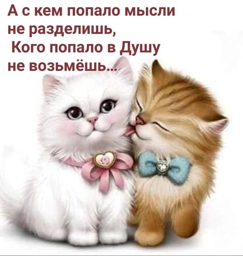 IMG-20231207-WA0017.jpg