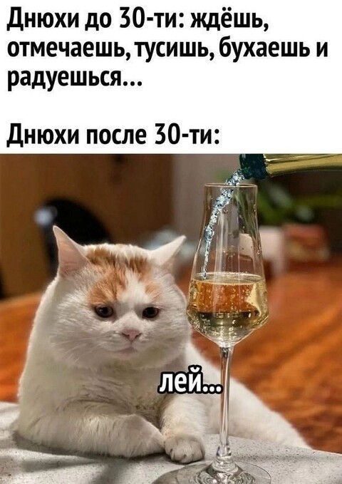 648a9b7ecd591b7f770c5050fcfbcc4a.jpg
