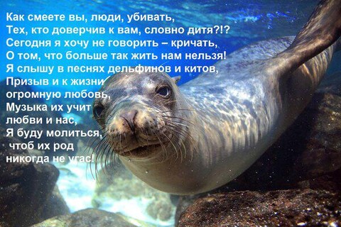 IMG-20240219-WA0033.jpg