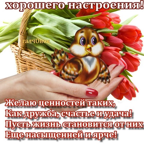 anard0h 3pA.jpg