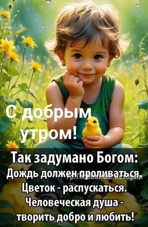 С Добрым Утром.jpg