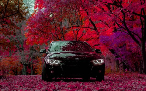 59113-bmw 3 les osen listva.jpg