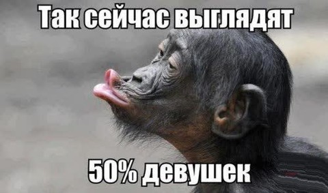 Ну почти так.jpg