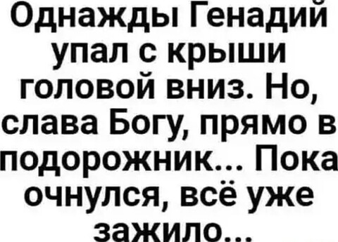 3a5eb868-55c9-46b7-b330-dc3fd78e44bc.jpg