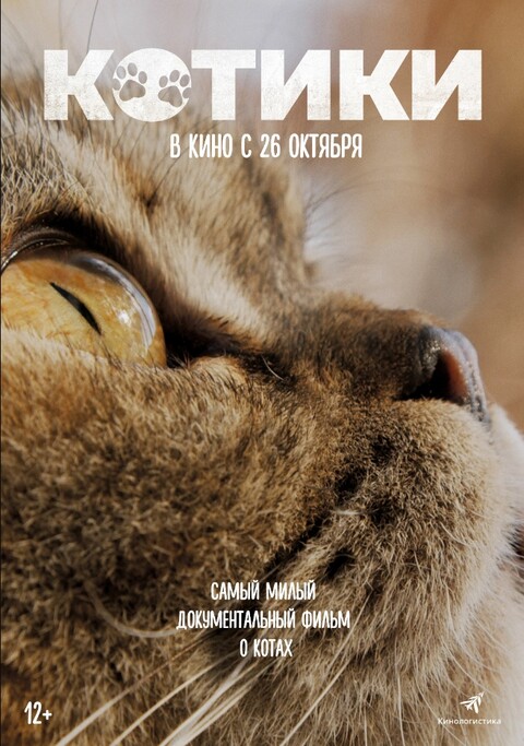 Котики (2022).jpg