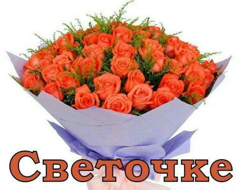 Svetochke.jpg