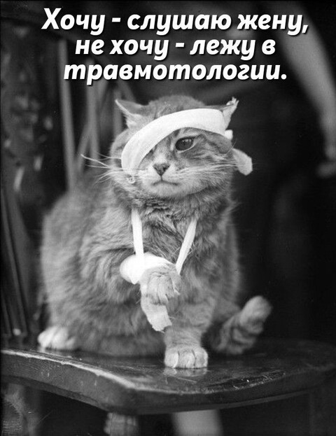 04f44bc9fa180bcc8294eb05f8f319d6.jpg