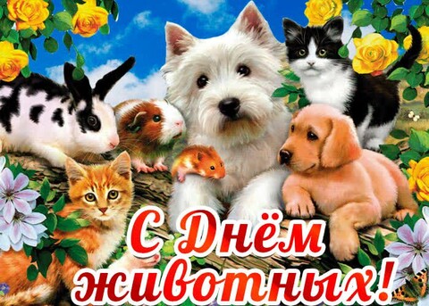 4 Октября - С Днём Животных.jpg