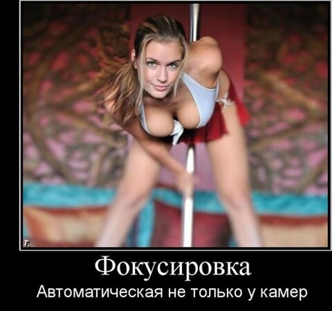 f97b3607-9b84-44ed-84bf-f382a5702d5a.jpg