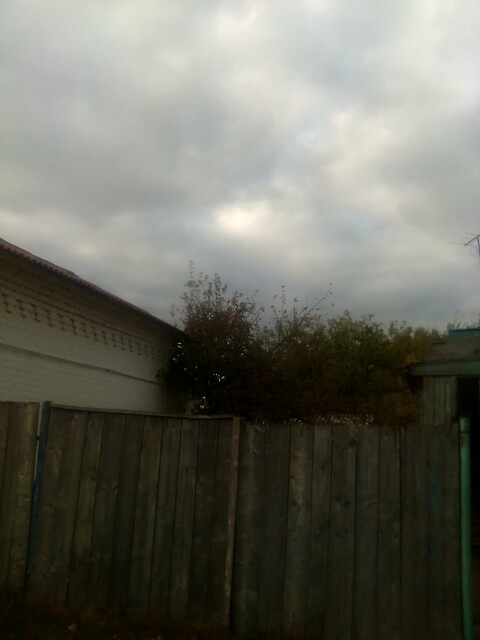IMG 20231011 151852.jpg