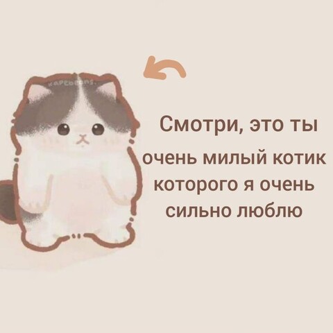 Котик.jpg