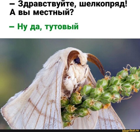 IMG-20240227-WA0161.jpg