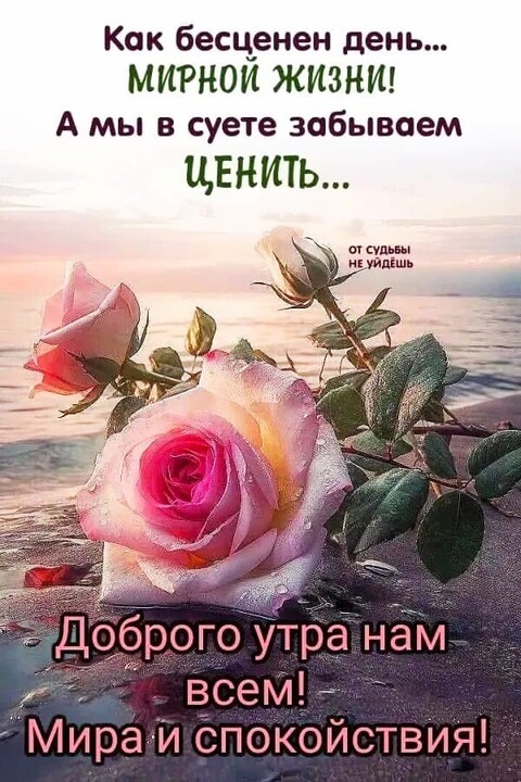 Доброго Утра.jpg