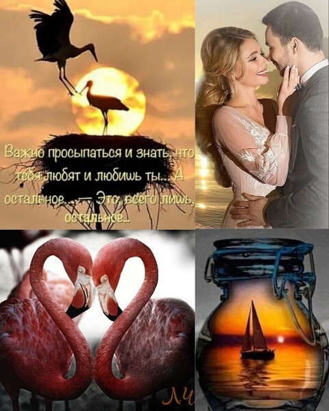1d02da75196c995399561acd715fd1ad.jpg