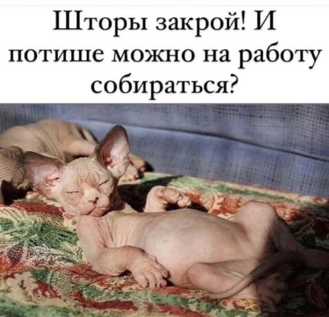 003bfbe1b15f8018b21672c22fba4462.jpg