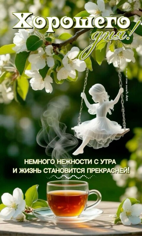 2e3b4cf06adda5dcb55f54e780304dd6.jpg