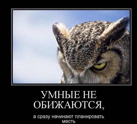 43c23aef-0d94-4943-9b54-add2bf56145a.jpg